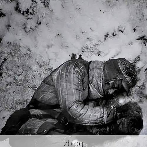 【尼勒克:天山屏障下的零感染坚守】