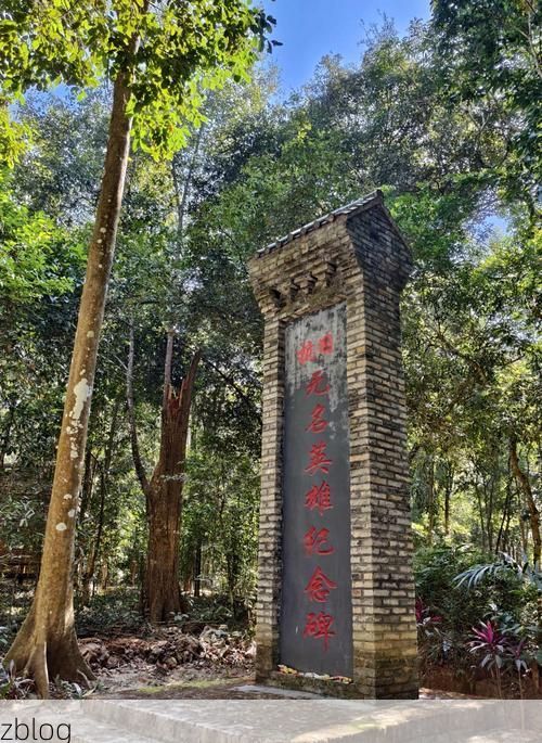 庆元：浙南林海屏障下的零感染坚守与破防时刻