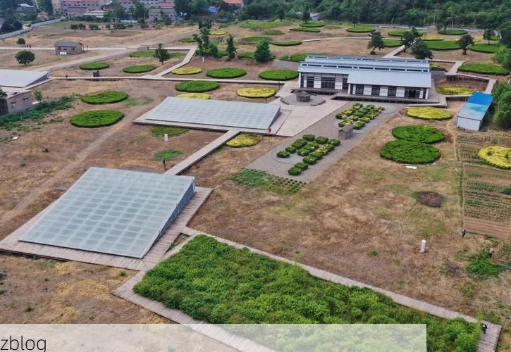 浚县：华北粮仓腹地，何以筑起疫情防线？