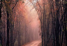 定远县新增1例无症状感染者  定远县疫情防控最新通报_9020