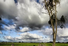 31省区市新增12例本土确诊, 西峡县疫情最新消息_34268