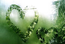 西湖区疫情：城市绿肺下的防控挑战与地理屏障