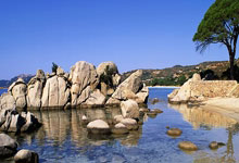 31省区市新增12例本土确诊, 西峡县疫情最新消息_34268