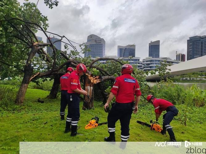 湛江:雷州半岛湿热季风下的疫情破防与防控
