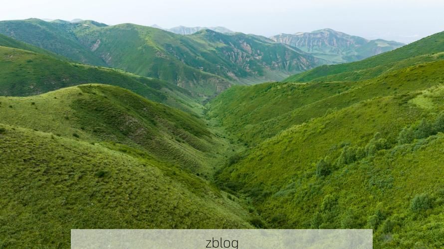 固原:六盘山屏障下的低感染样本_42162