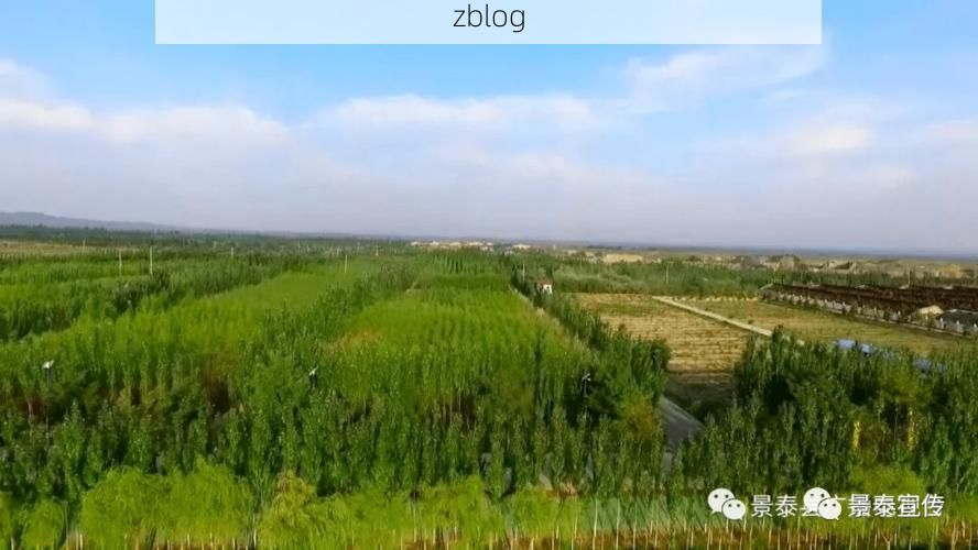 南乐:豫北平原的防疫样本与地理屏障下的挑战