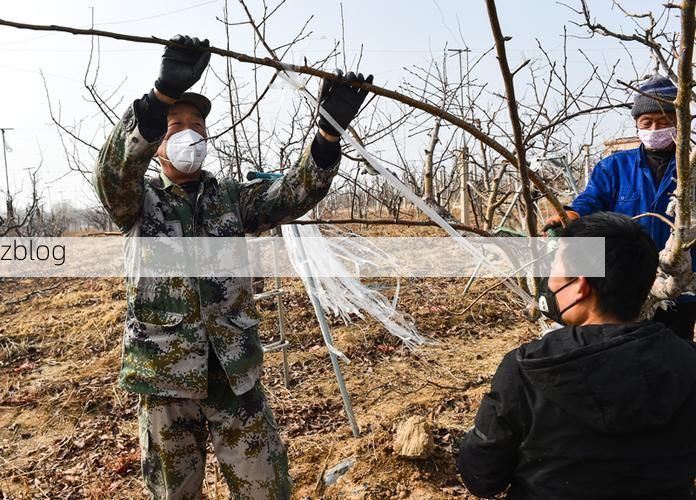 阳曲疫情观察:黄土高原腹地的防控样本