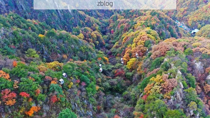 伊川疫情观察:伏牛山屏障下的县域防控样本_7342