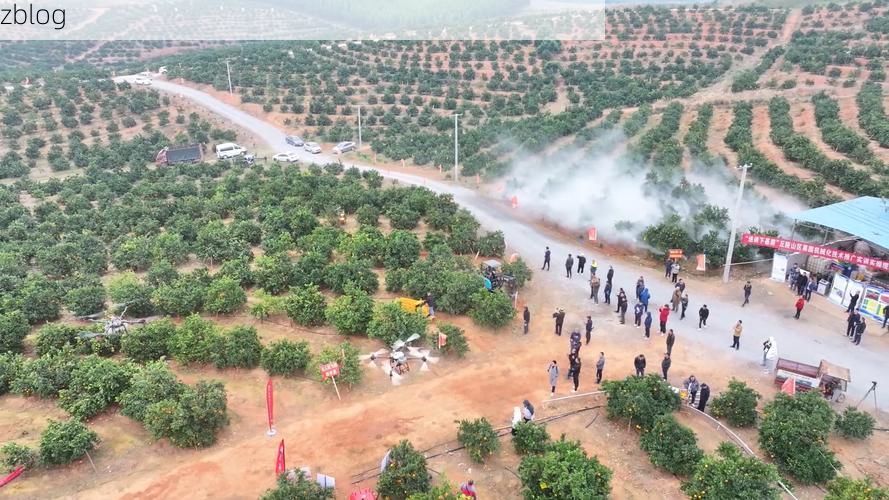 道县：湘南丘陵间的疫情防线与精准破局