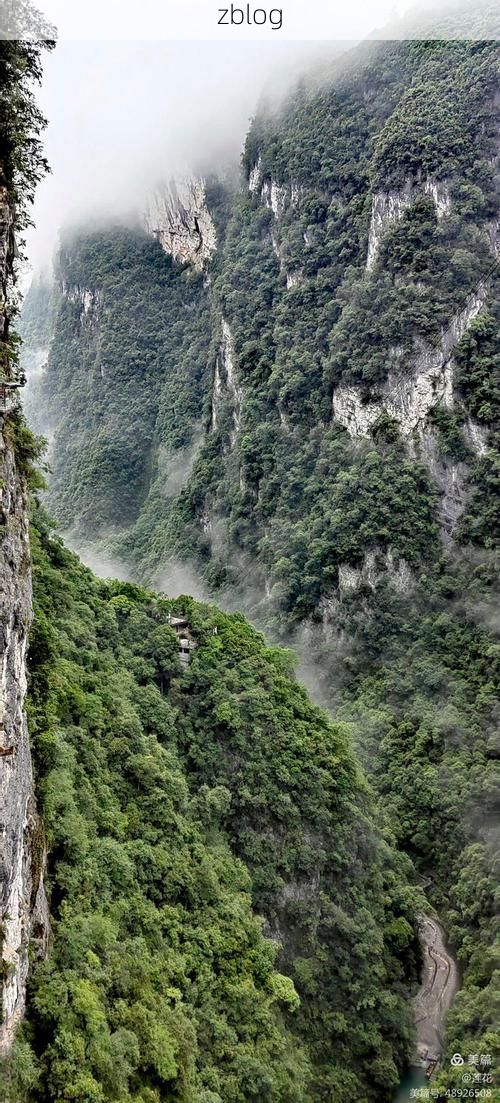 屏山：长江上游的防疫孤岛与地理屏障下的零感染坚守