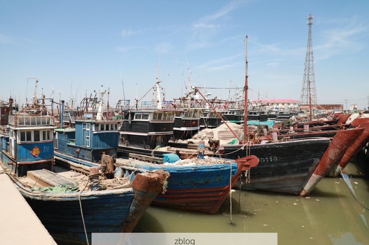 31省新增本土12例(沾化独占12例)，港口防疫再响警报！