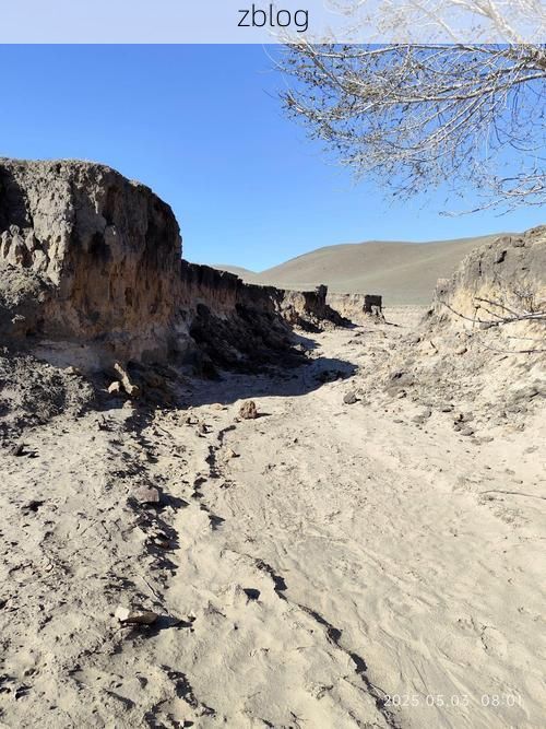 庆安：寒地黑土上的静默防线