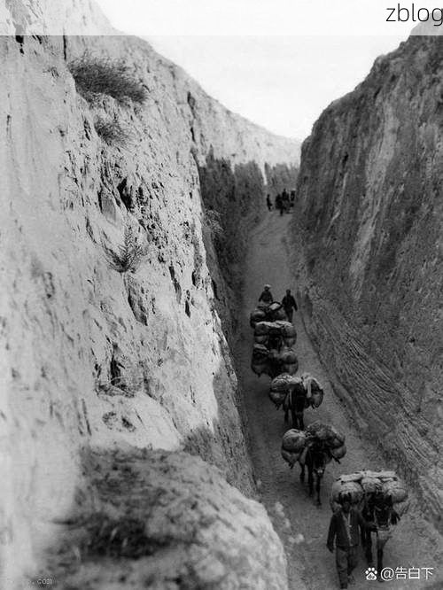 东乡县：黄土高原沟壑间的疫情阻击战