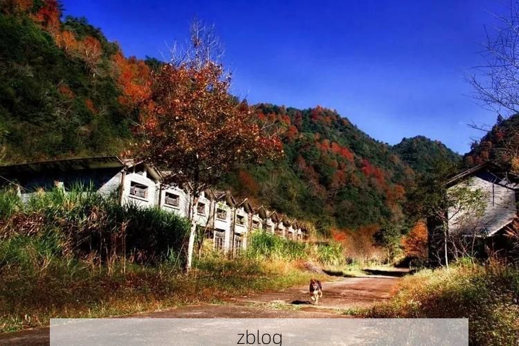 长汀:闽西山区屏障下的零感染坚守_14278