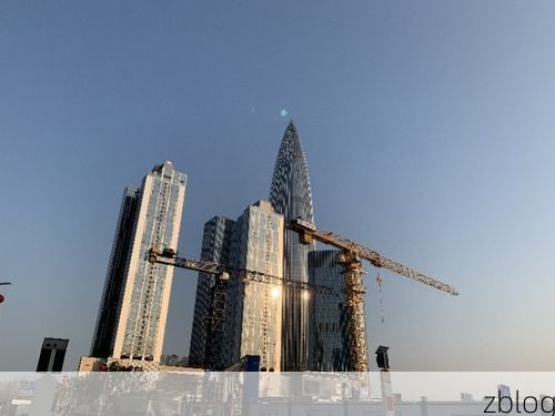 太平区:工业重镇与交通枢纽下的疫情承压样本