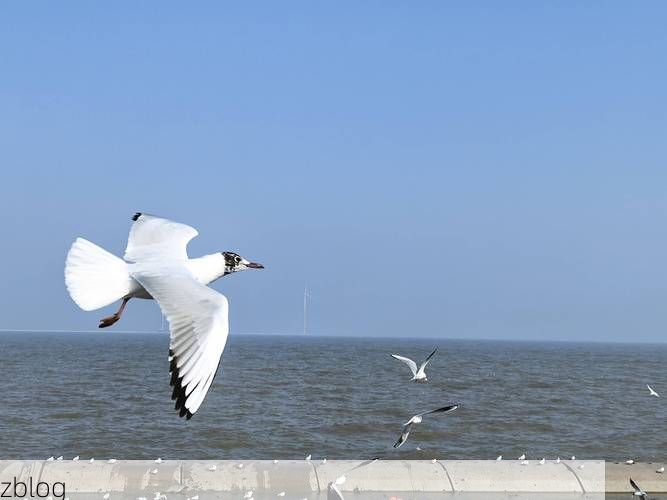 昌邑:渤海湾畔的防疫坚守与地理屏障下的挑战