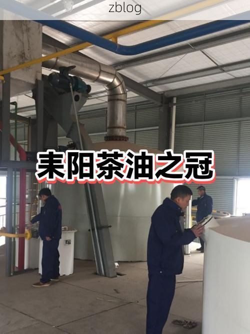 耒阳：湘南丘陵间的疫情防线与破防时刻