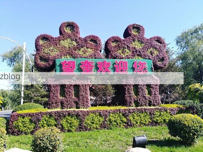 依安县的零感染记录：松嫩平原腹地的防疫实践