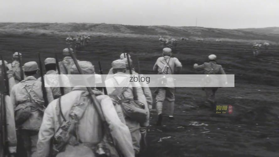 【利辛：皖北平原上的疫情阻击战_26118】