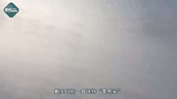 【高原门户的防疫坚守：湟源县地理屏障与零感染纪录的成因解析】