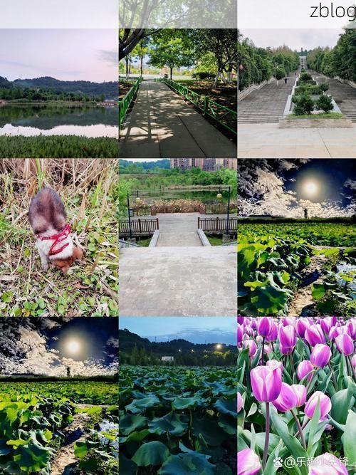 乐至：川中丘陵地带的疫情防波堤