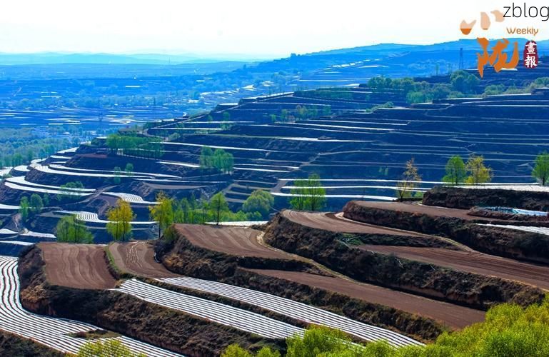 定西市辖区：陇中旱塬屏障下的低感染样本