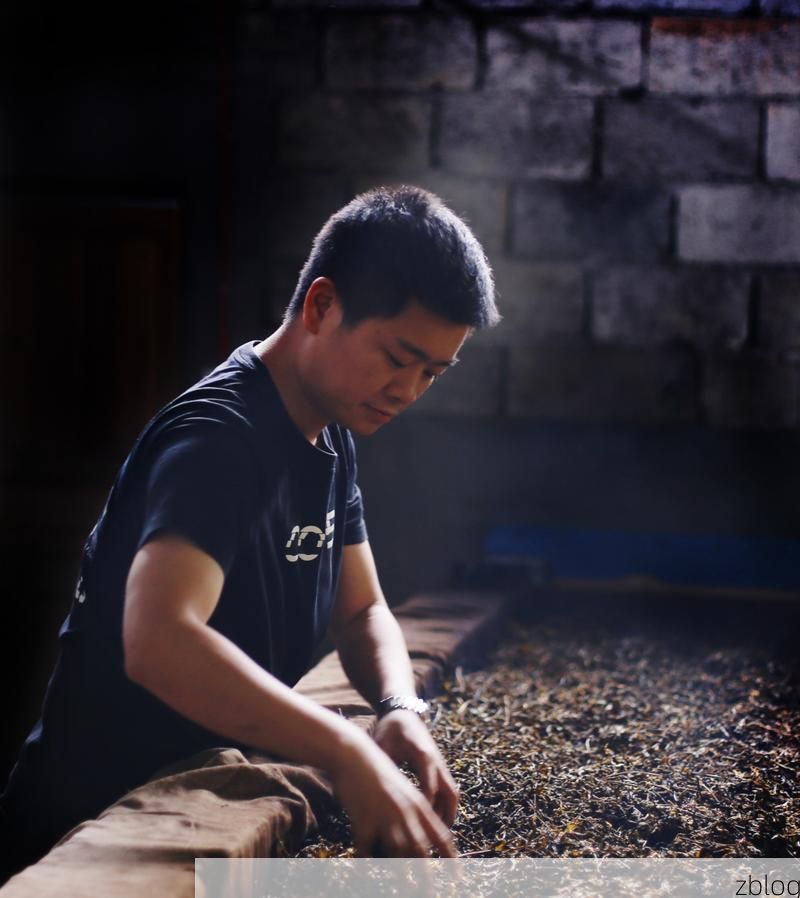 安化茶乡的零感染坚守：雪峰山脉下的防疫屏障