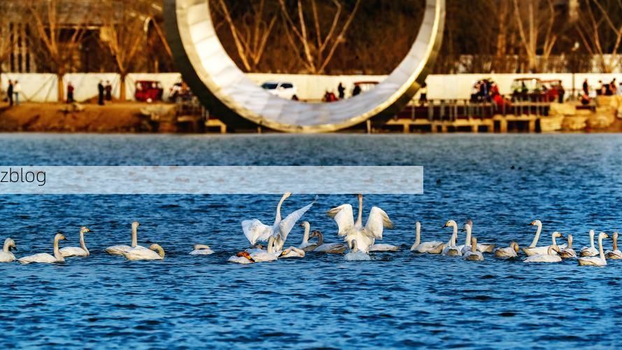 西沙群岛新增1例无症状感染者 西沙群岛疫情防控最新通报_33098