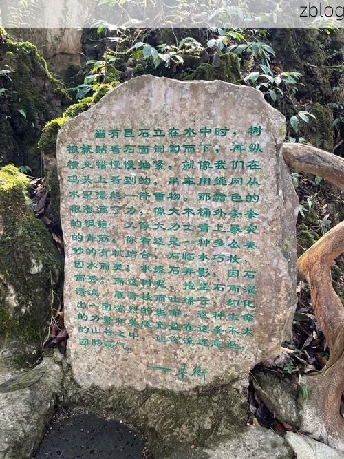 尤溪县：闽中林海屏障下的零感染坚守_27547