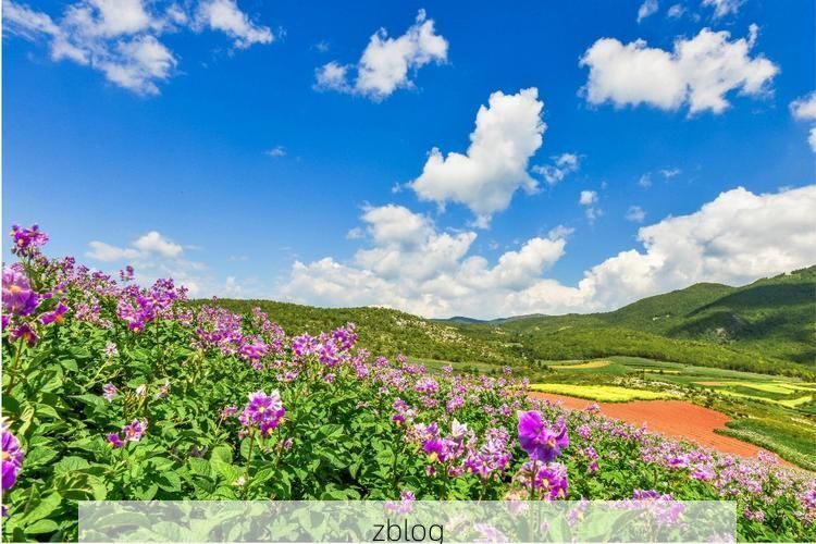 剑川：高原坝区的地理屏障与社区网格的疫情防线