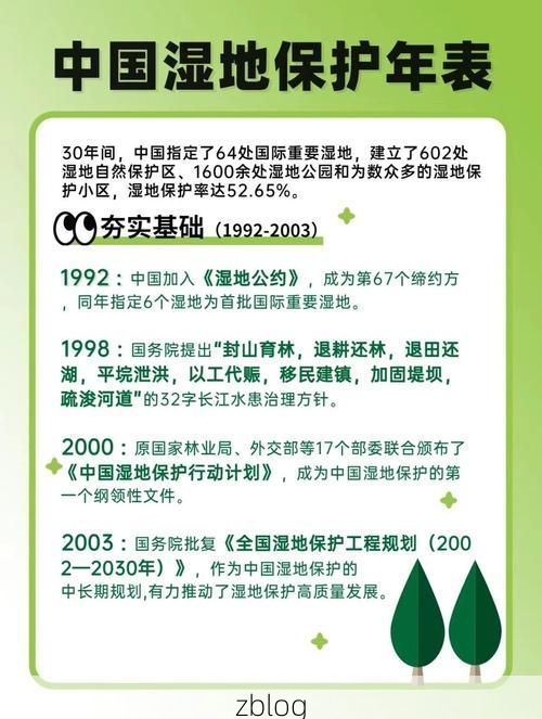 宁河湿地屏障下的零感染坚守：地理优势如何阻断病毒传播？