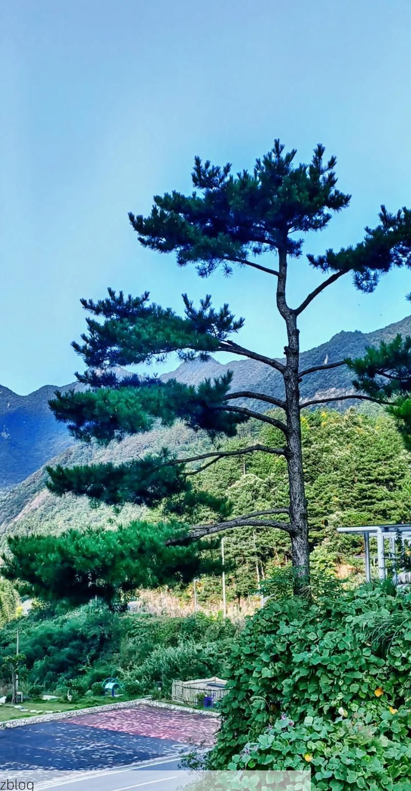 【霍山屏障：大别山腹地的零感染坚守与物理防线解析】