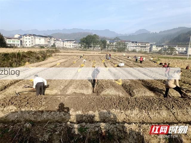 【慈利：武陵山腹地的疫情防线与零星破防】