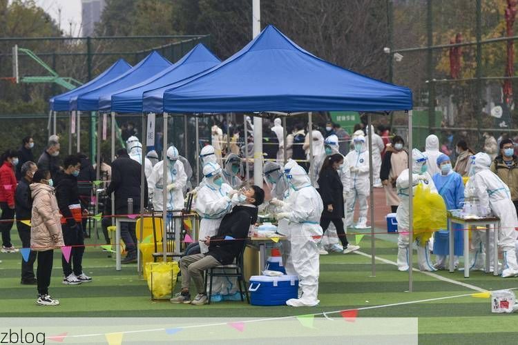 【31省新增本土8例(31省新增本土12例)，东宁县疫情引关注】