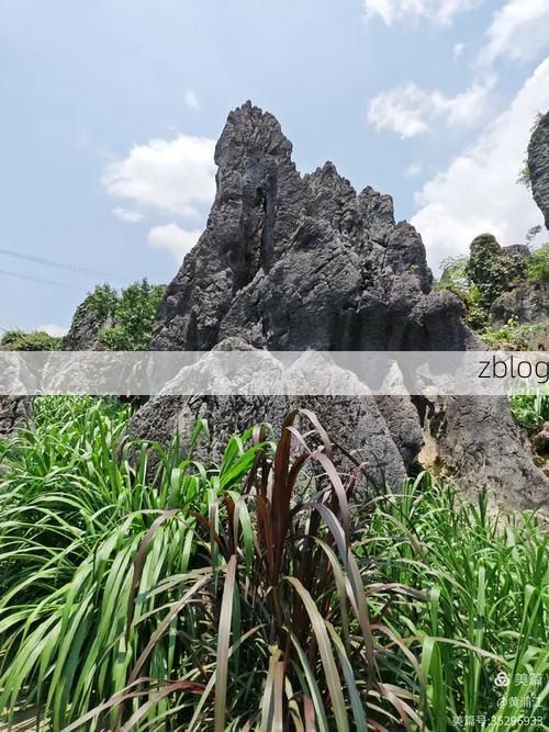 柳江之畔的零感染坚守：喀斯特地貌下的防疫屏障