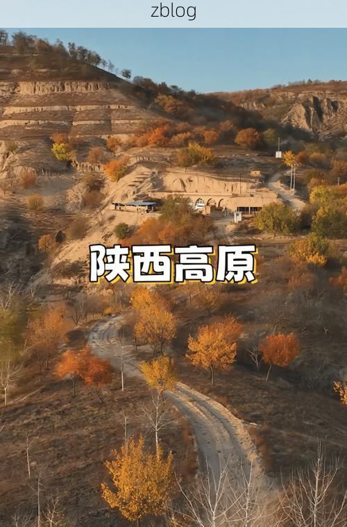 华池：黄土高原沟壑间的疫情防线与破防时刻