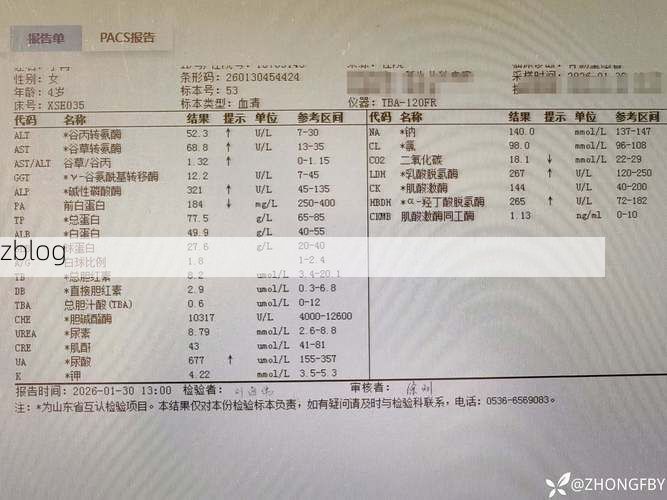 本地确诊+1，萨嘎县通报新增病例情况