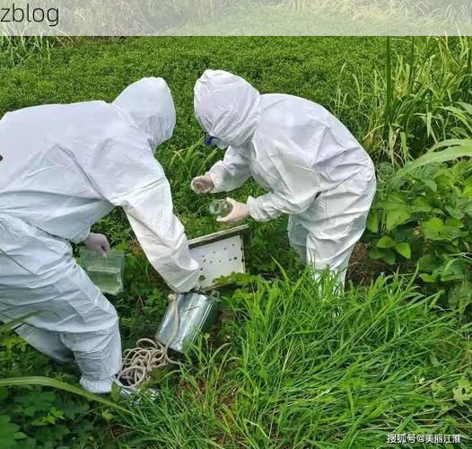 阳谷县：水浒故地如何构筑疫情防线？