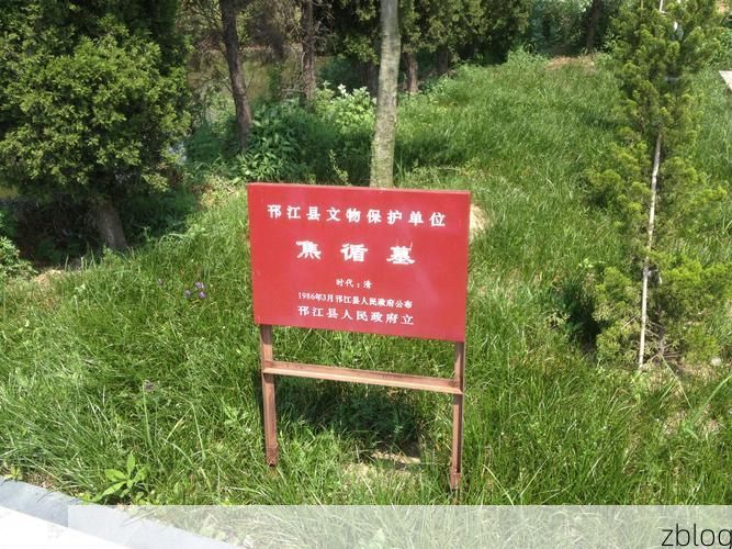 黄陵古柏下的静默：黄土高原腹地如何构筑防疫屏障？