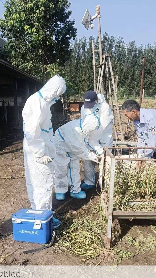 阿克苏市：塔河绿洲的防疫屏障与破防时刻