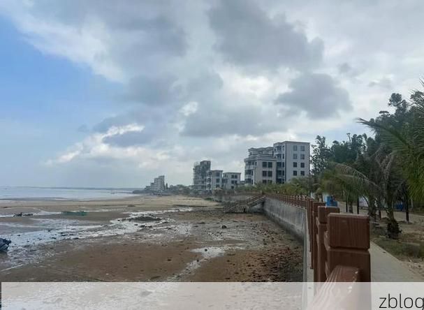 遂溪：雷州半岛交通节点下的疫情破防与围堵