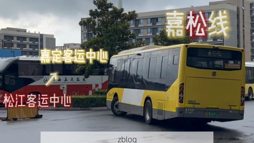 嘉定：远郊交通枢纽下的疫情承压与破防