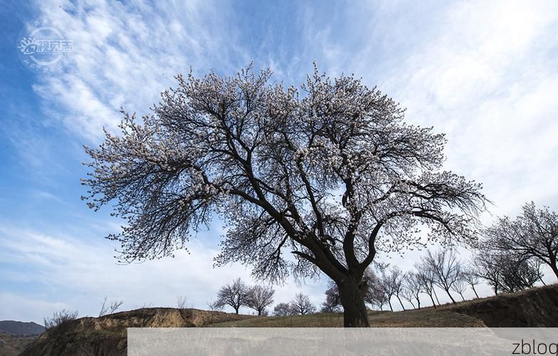 沁源县：黄土高原腹地的零感染样本何以铸成？