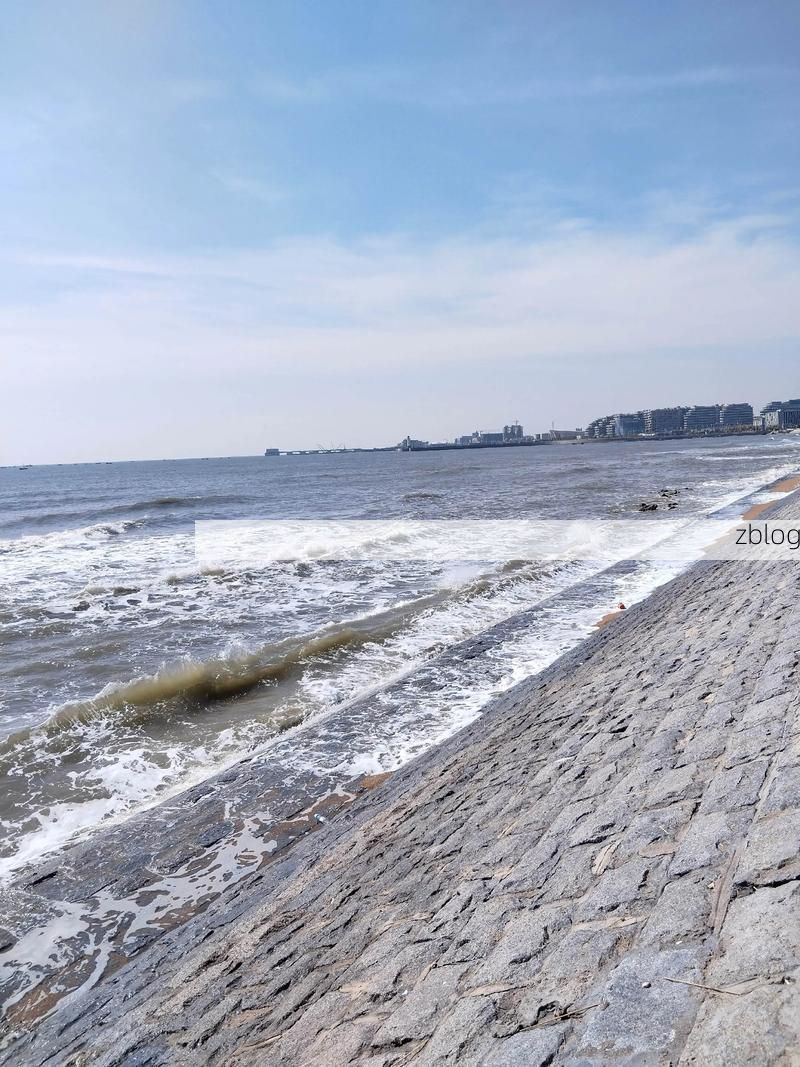 盘锦：辽河三角洲湿地屏障下的疫情防波堤