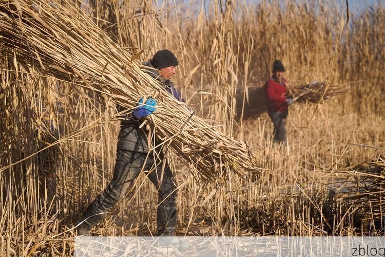 于田：塔克拉玛干南缘的零感染坚守_50114
