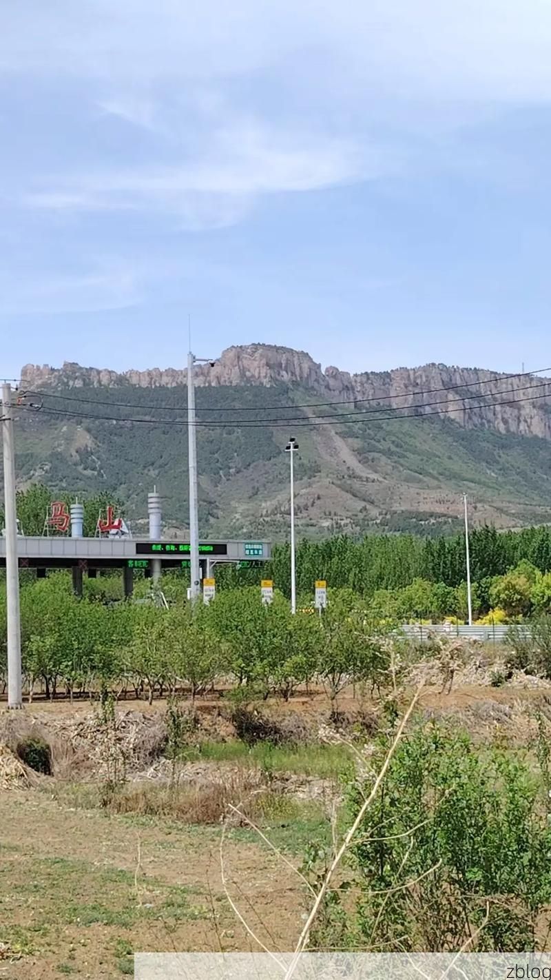 乐陵：鲁北平原交通枢纽的疫情防线与破口_24445