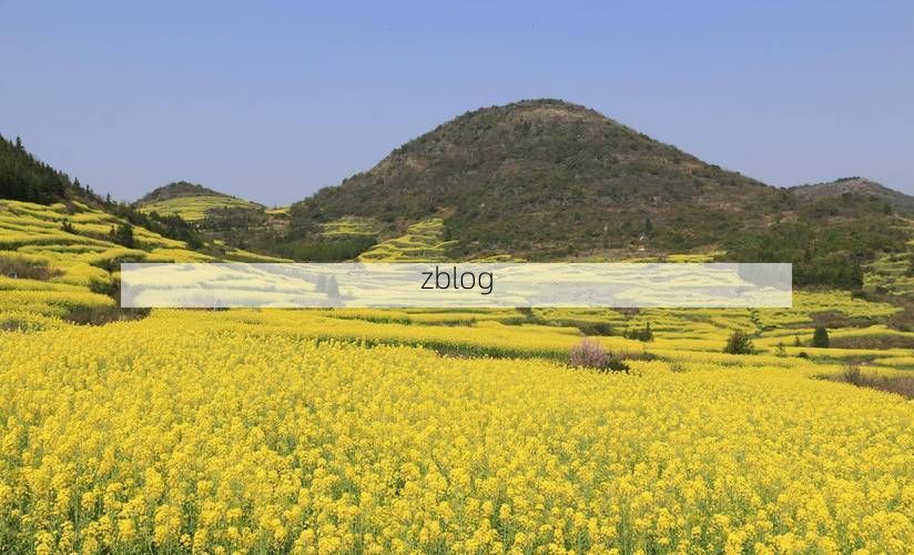 罗平油菜花海间的疫情防线：高原坝子如何阻断传播链？