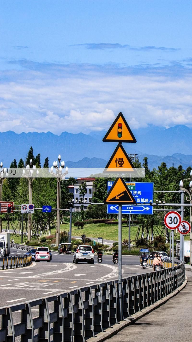 罗江：川西坝子上的防疫突围战