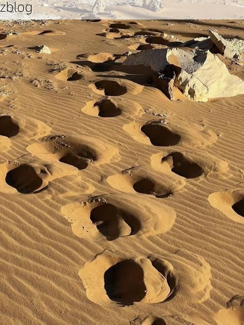 东乡高原的静默防线:地理屏障下的零感染坚守