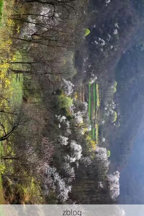 夏县疫情观察：晋南小城的防控坚守与地理屏障